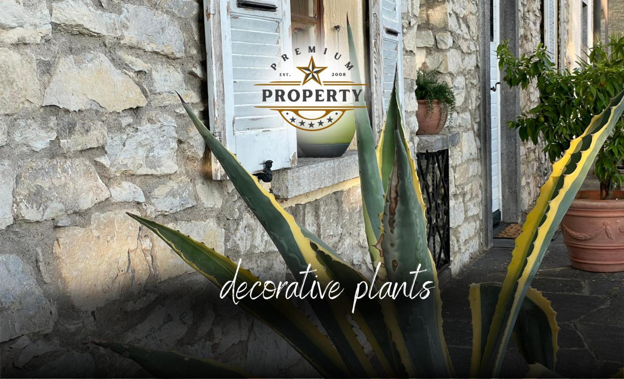 Magnificent Sunstone House, Private Parking, Bbq Area, Kids Toys, Near Como Lake I Villa Dei Leoni Morbio Inferiore Экстерьер фото